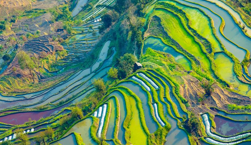 宝妈必备神器：福鼎市产品视频拍摄轻松育儿好帮手