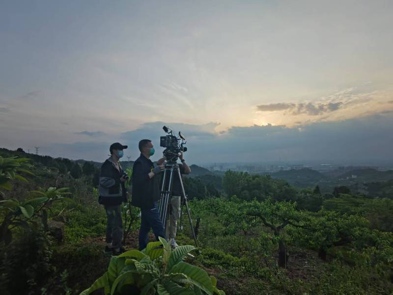 创意破圈！福鼎市电商产品宣传视频用故事化叙事引爆流量