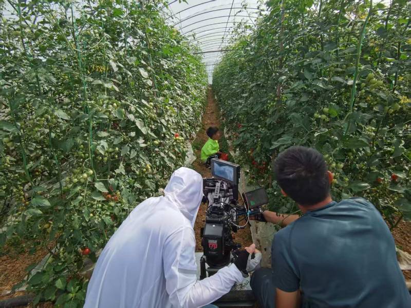 福鼎市产品宣传视频拍摄公司进阶指南，助力品牌抢占传播高地